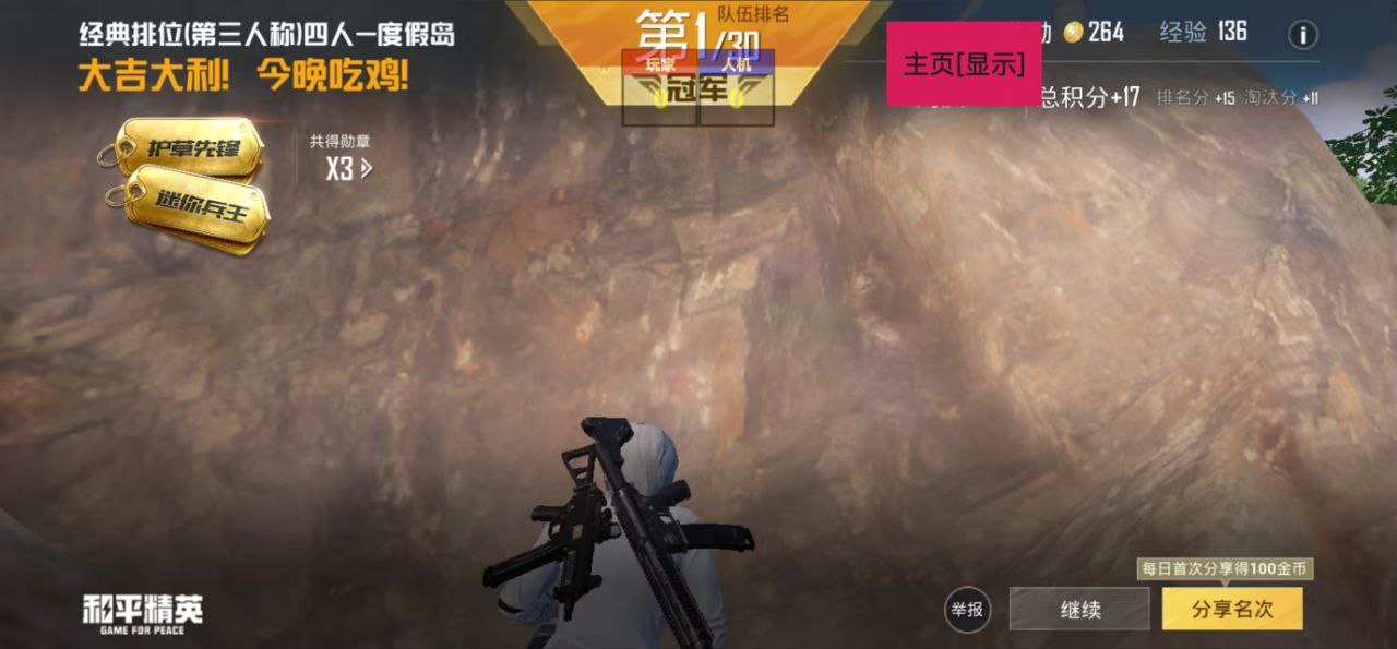 和平精英98k耀虎外挂